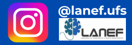 Siga o LANEF no Instagram!